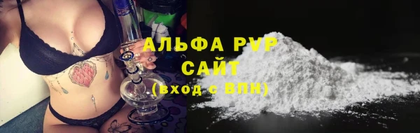 ECSTASY Богородицк