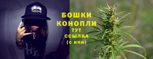 ECSTASY Богородицк