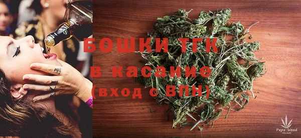 соль ск Богданович