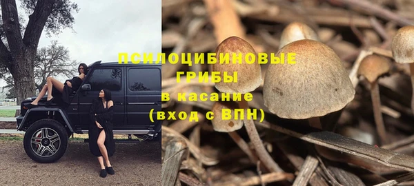 ECSTASY Богородицк