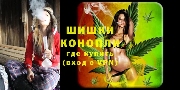 ECSTASY Богородицк