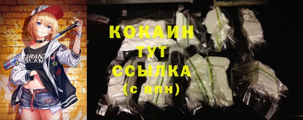 соль ск Богданович