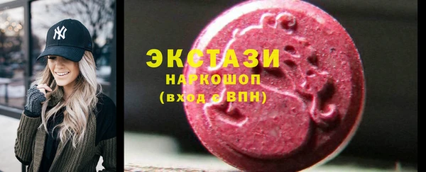 ECSTASY Богородицк